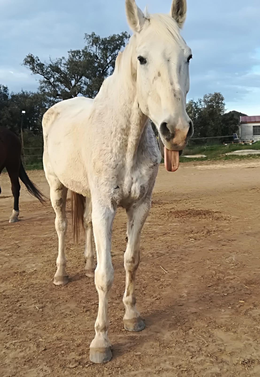 Namasté